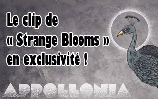 Appollonia : le clip de 'Strange Blooms' en exclusivité
