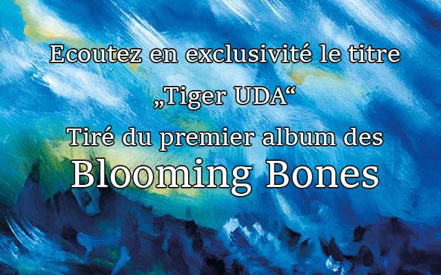 Découvrez un titre du premier album des Blooming Bones en exclusivité !