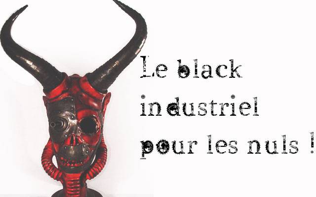 Le Black Indus pour les nuls