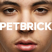 petbrick I