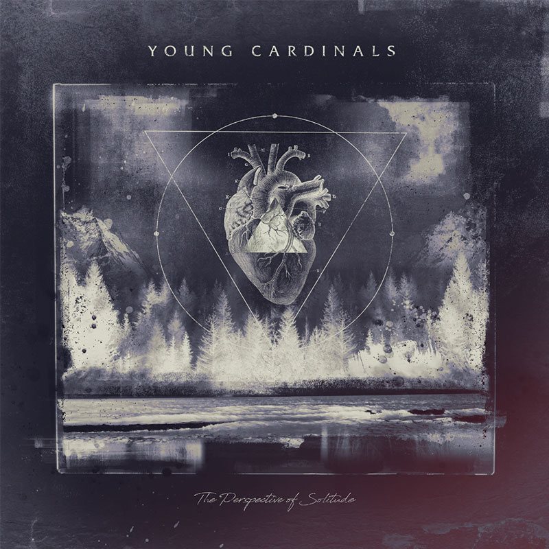 young cardinals the perspective of solitude