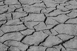 Barren Soil (groupe)