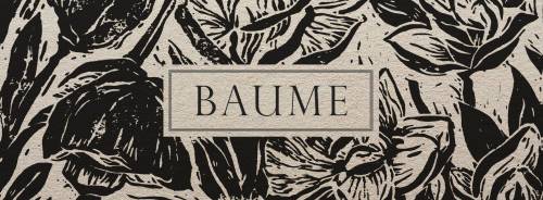 Baume (groupe/artiste)