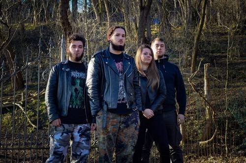 Bleedskin (groupe/artiste)