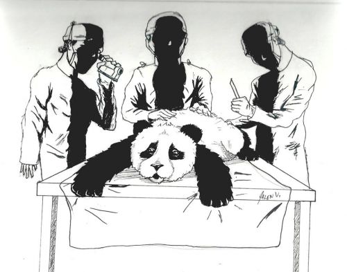 Dildo's Panda Fight (groupe/artiste) Dildo's Panda Fight (groupe/artiste)