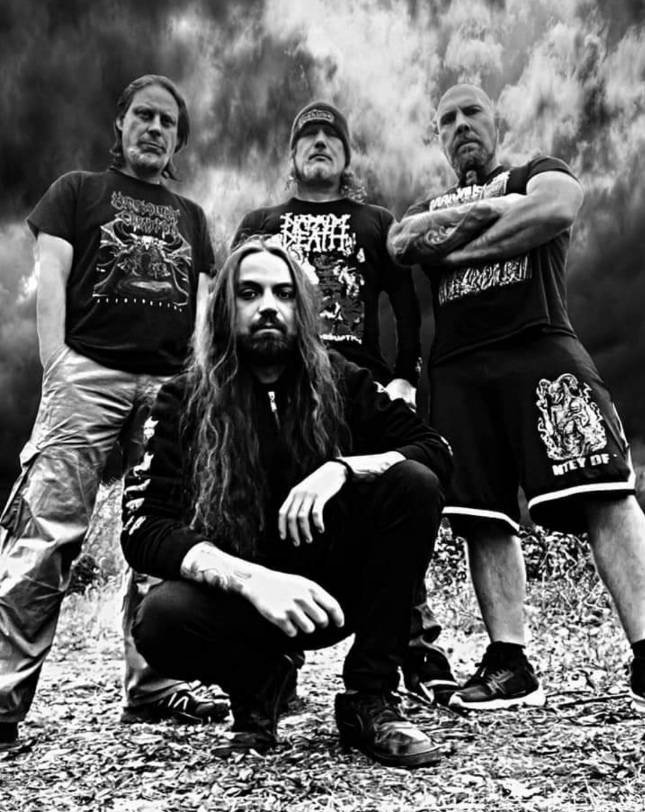 Fleshless (groupe/artiste) Fleshless (groupe/artiste)