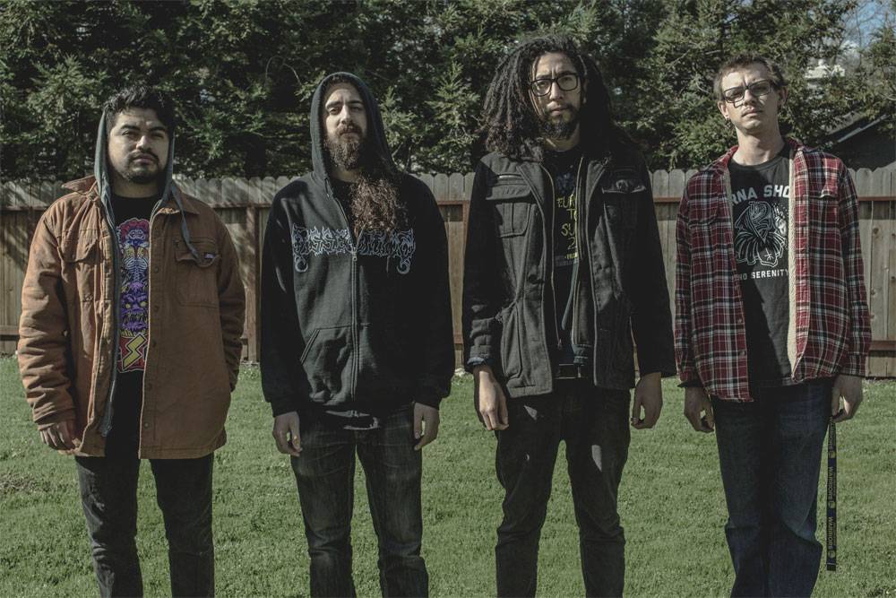 Flub (groupe/artiste) Flub (groupe/artiste)