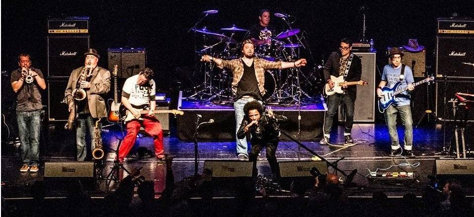 Fungo Mungo (groupe/artiste) Fungo Mungo (groupe/artiste)