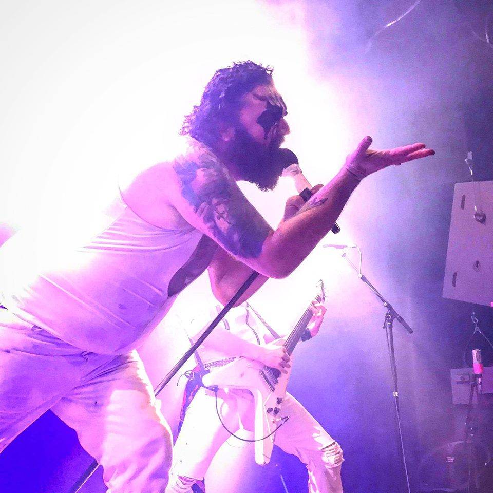 Hank Von Hell (groupe/artiste)