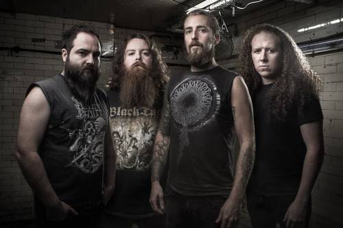 Hark (groupe/artiste) Hark (groupe/artiste)