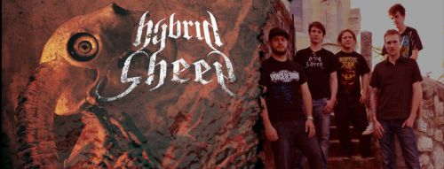 Hybrid Sheep (groupe/artiste) Hybrid Sheep (groupe/artiste)