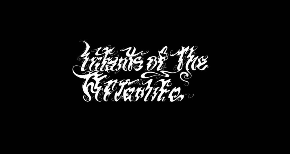 Infants Of The Afterlife (groupe/artiste)