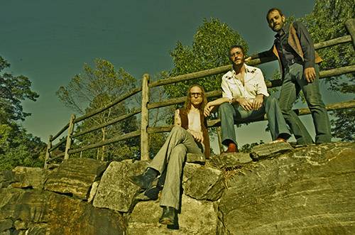 The Golden Grass (groupe/artiste)