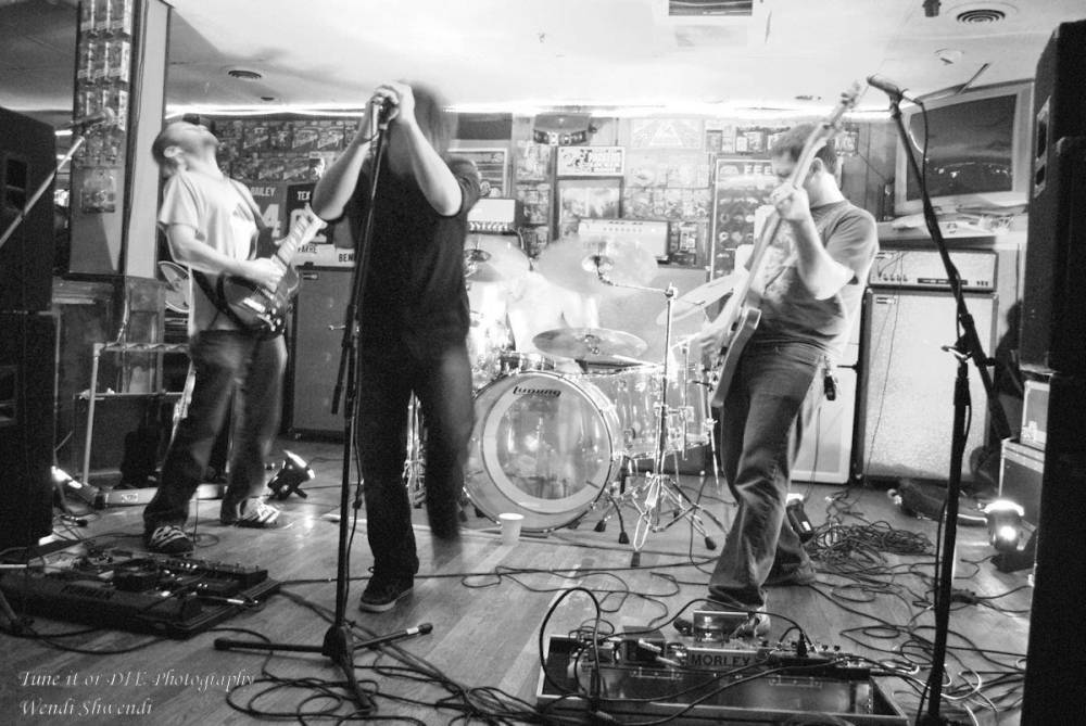 The Osedax (groupe/artiste) The Osedax (groupe/artiste)