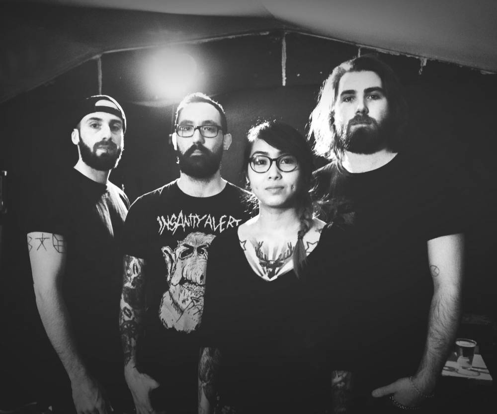 Vegan Fox (groupe/artiste)