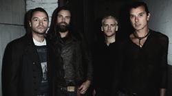 Bush (groupe/artiste) Bush (groupe/artiste)