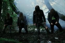 Cerebral Rot