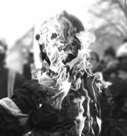 Contre-feux