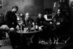 Decline of Humanity (groupe)
