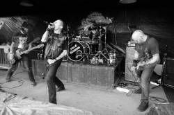 Deviated Instinct
