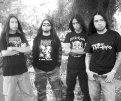 Disgorge (mex) (groupe/artiste)