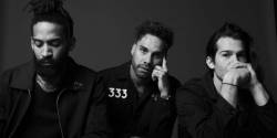 Fever 333