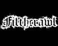 Filthcrawl (groupe)