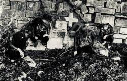 Grave Infestation
