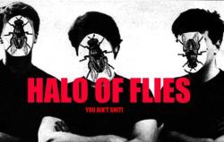 Halo Of Flies