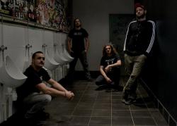 Infest (groupe/artiste)