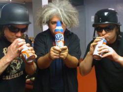 Melvins Lite (groupe/artiste) Melvins Lite (groupe/artiste)