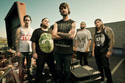 Molotov Solution (groupe/artiste) Molotov Solution (groupe/artiste)