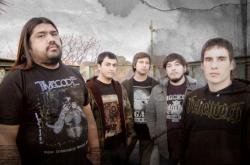 Mostomalta (groupe/artiste) Mostomalta (groupe/artiste)
