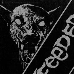 Nightfeeder