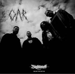 Oar