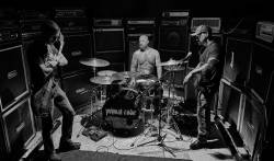 Primal Code