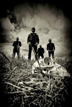 Process Of Guilt (groupe/artiste)