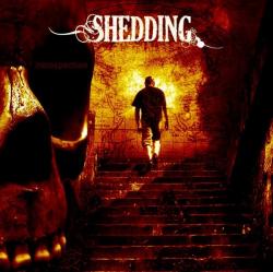 Shedding (groupe/artiste)
