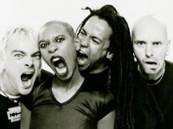 Skunk Anansie (groupe/artiste) Skunk Anansie (groupe/artiste)