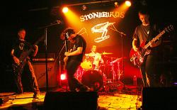 Stonebirds (groupe/artiste)