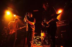 The Bushmen