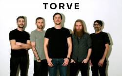 Torve