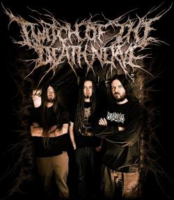 Twitch Of The Death Nerve  (groupe/artiste)