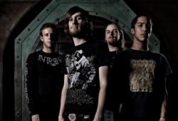 Veil of maya (groupe/artiste)