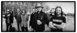 Swans (groupe du mois)