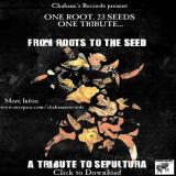 From roots to the seed - From roots to the seed