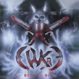 chronique : Wild Karnivor - Born to be... chronique Wild Karnivor - Born to be...