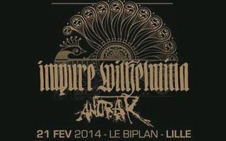 Impure Wilhelmina + Anorak - Le Biplan / Lille - le 21/02/2014 (Live report)