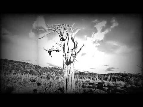 Goodbye, Kings balance son nouveau clip en ligne (actualité)