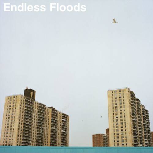 Endless floods dévoile son nouvel album (actualité)